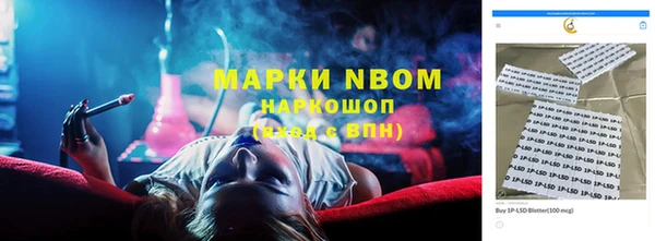 шишки Алзамай