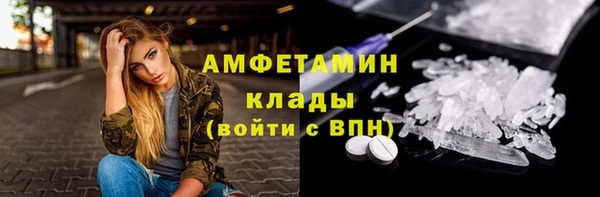 крисы Алексин