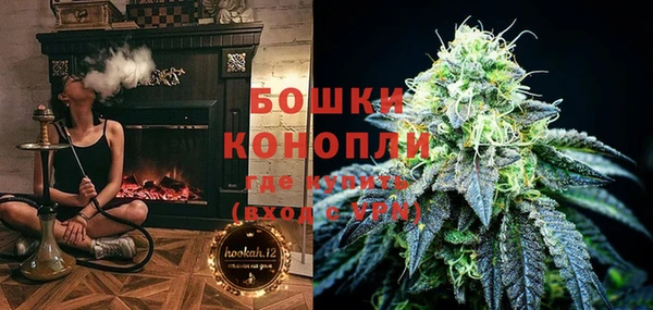 шишки Алзамай