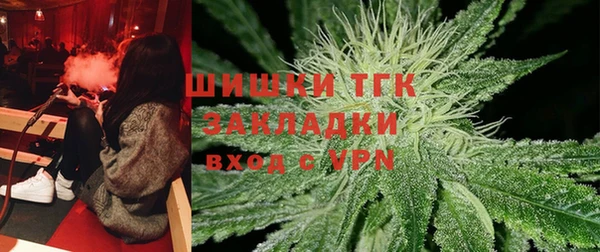 шишки Алзамай